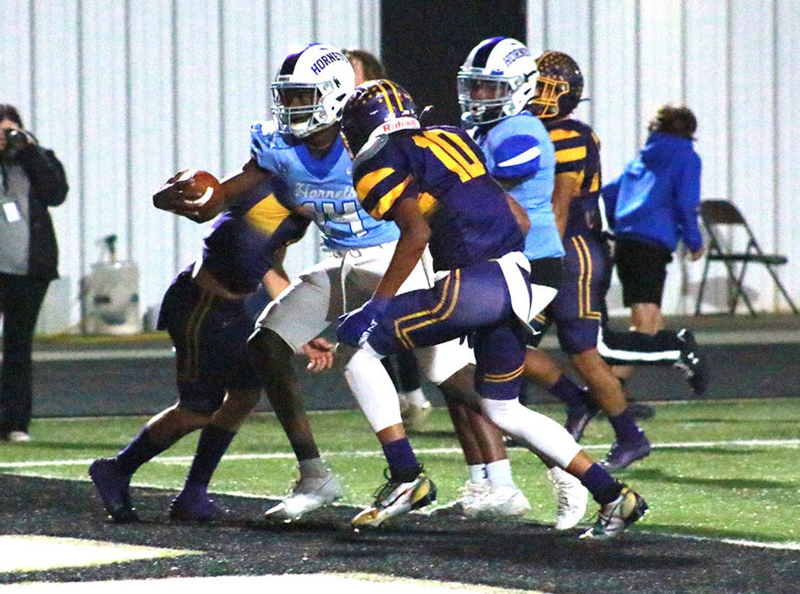 Hornets, Lions and Pirates advance