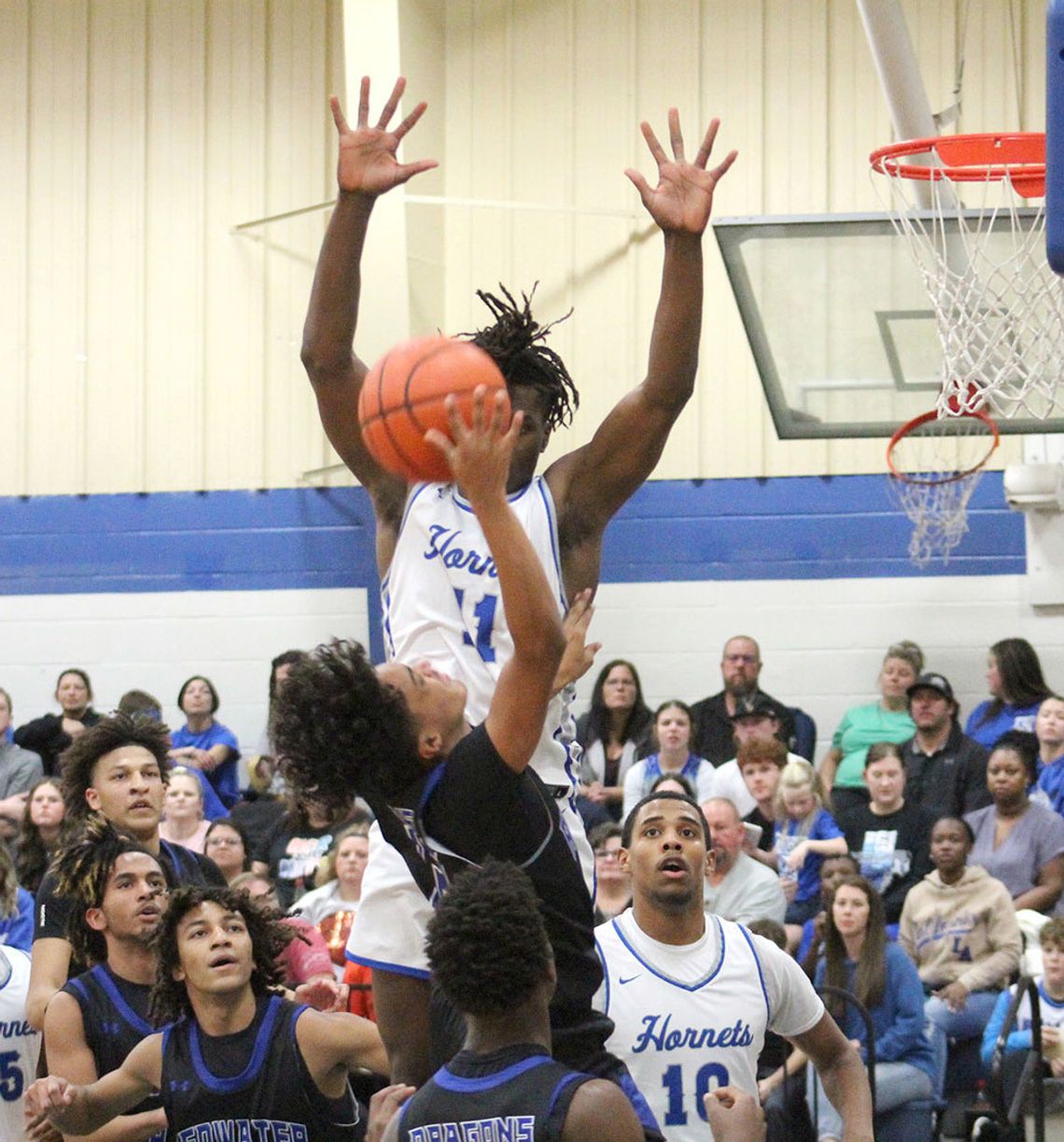 Hornets quench Dragons, Bears