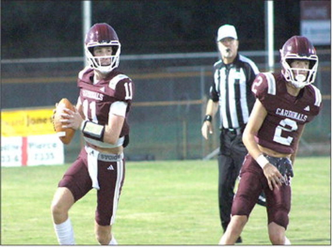 Hornets stay undefeated with win over Hawkins