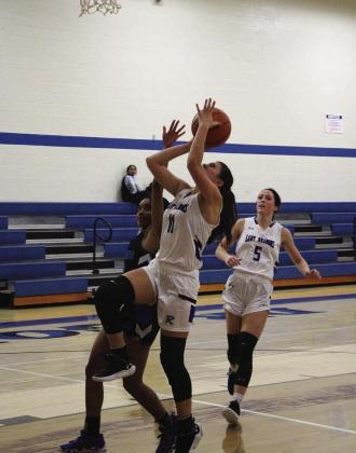 Lady Dragons take down Lady Tigers Lady Dragons take down Lady Tigers