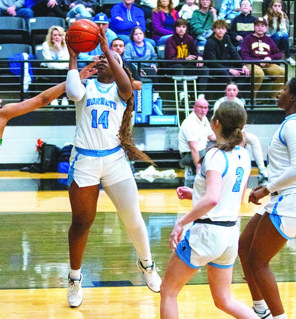 Lady Hornets and Lady Bears see championship seasons end