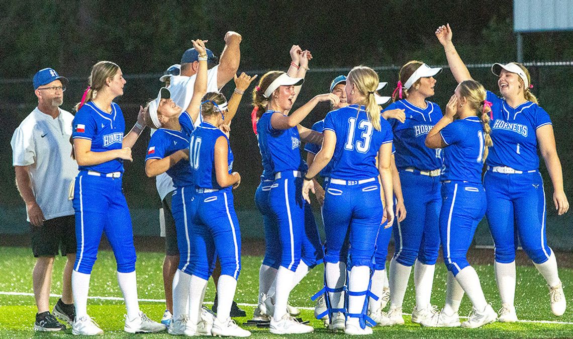 Lady Hornets claim district championship