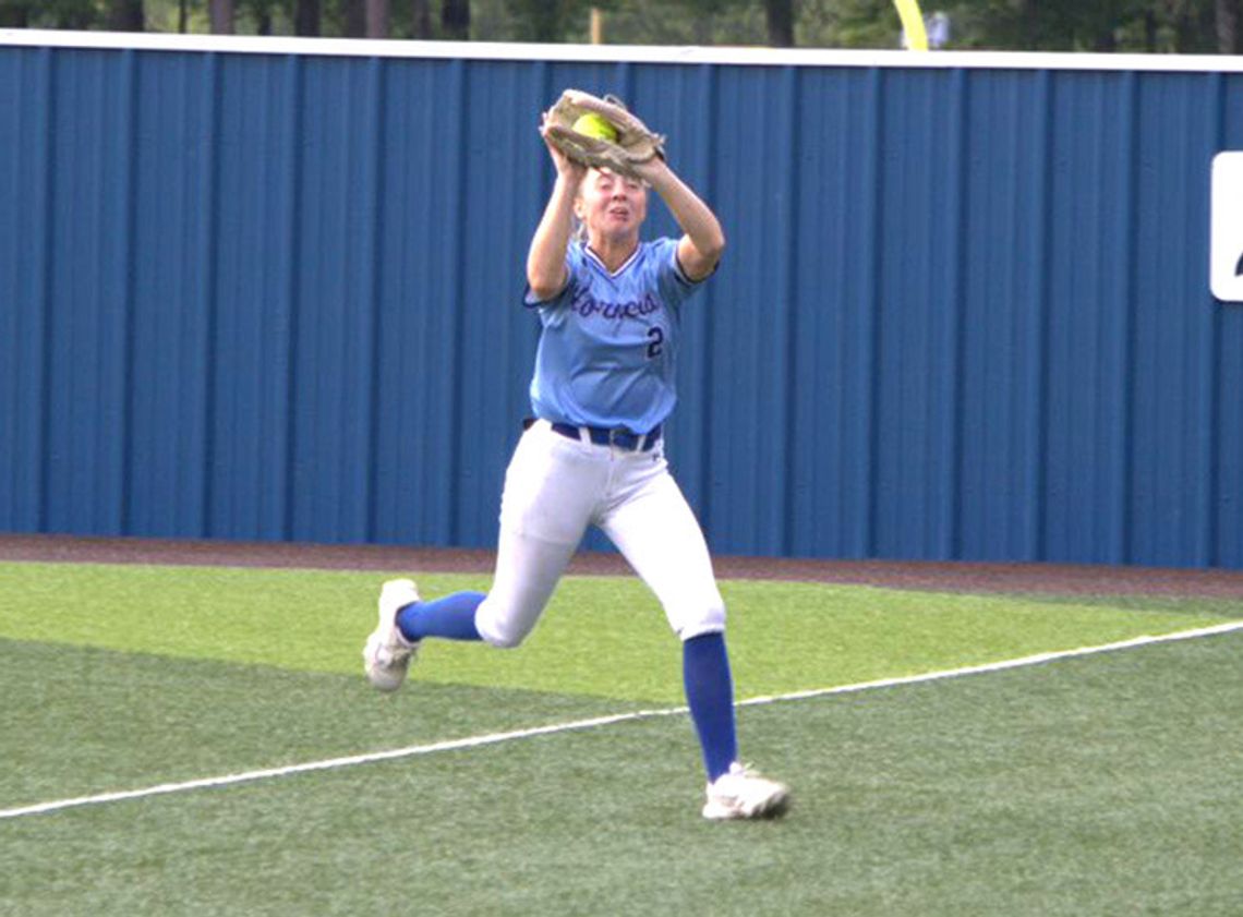 Lady Hornets earn Bi-District championship