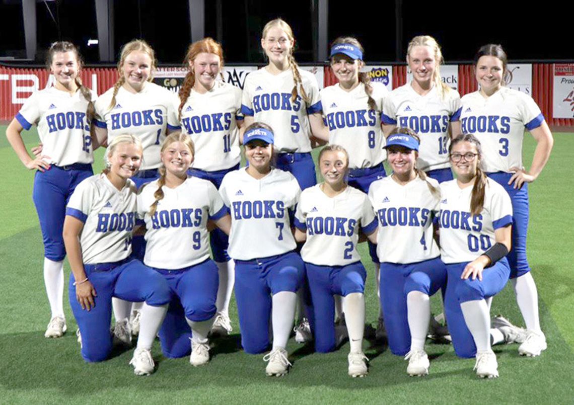 Lady Hornets fall at Area