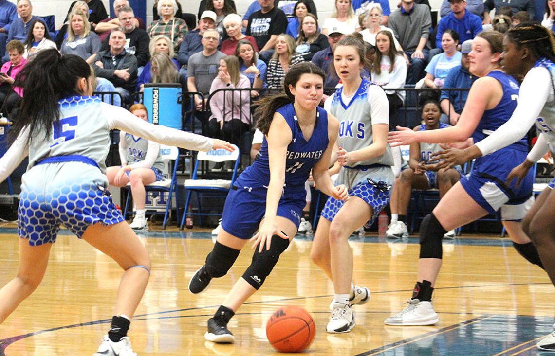 Lady Hornets sting Redwater