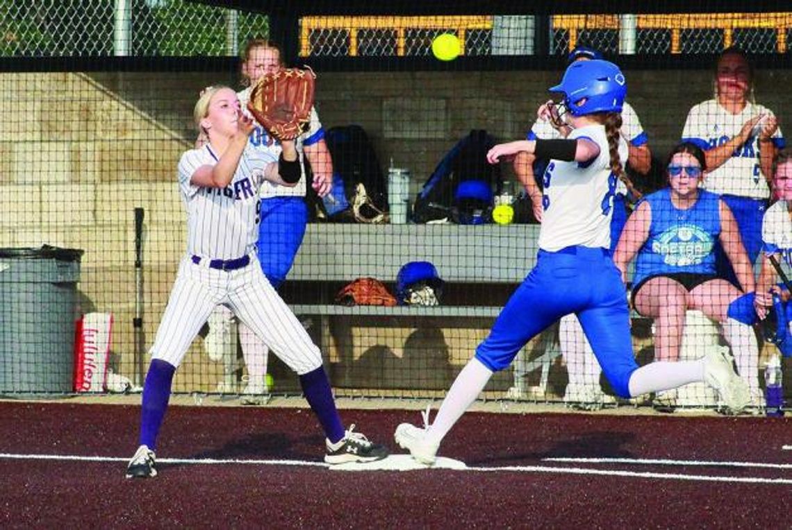 Lady Hornets take Mt. Vernon to the limit