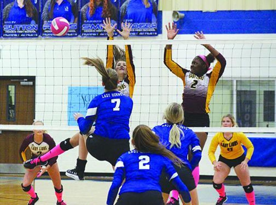 Lady Lions earn district crown