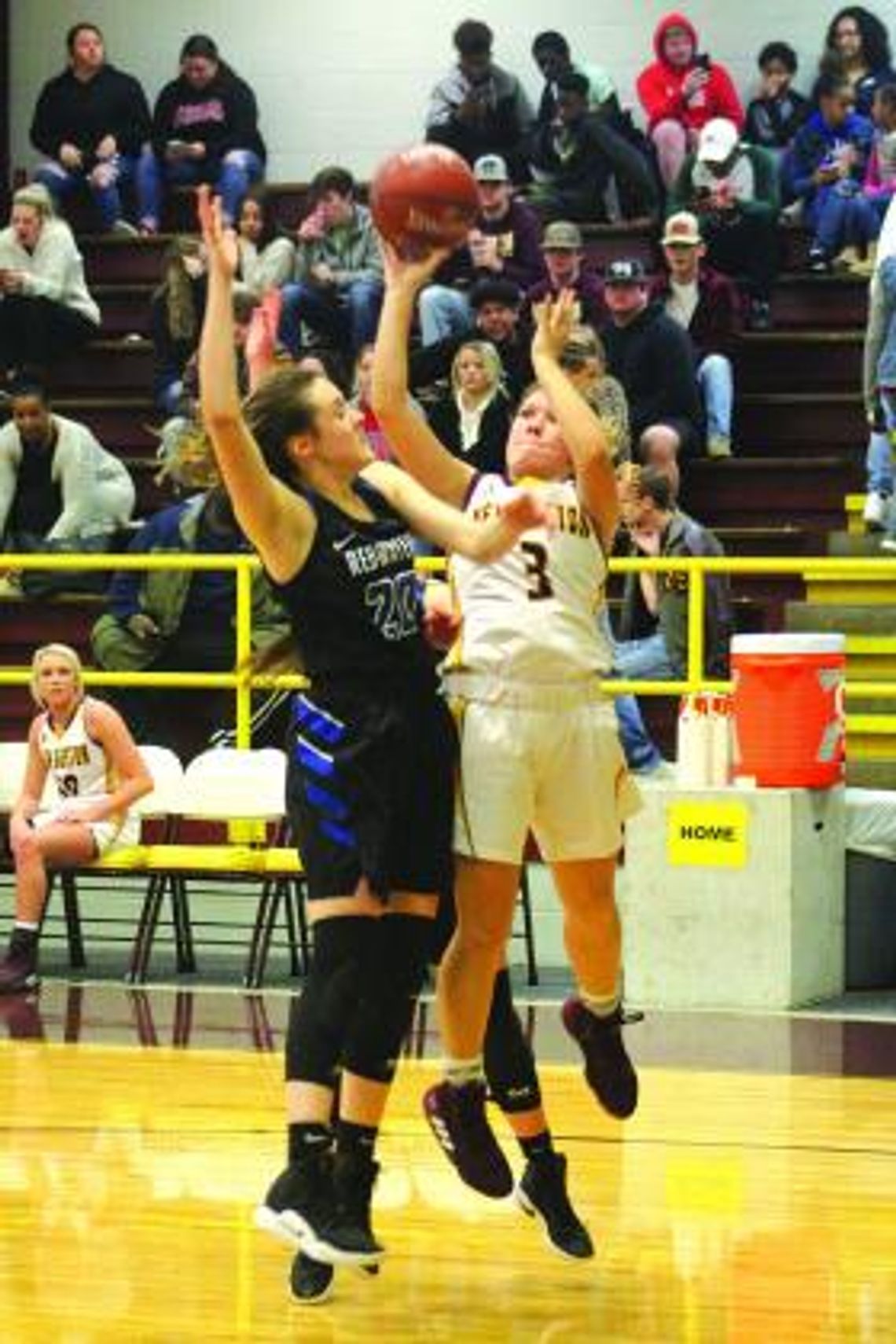 Lady Lions lead 14-3A into the postseason