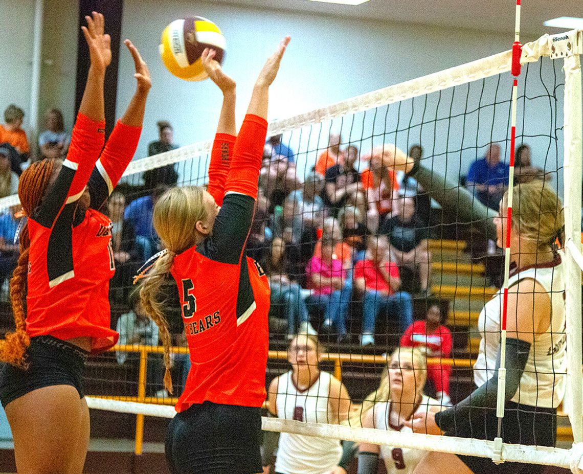 Lady Lions roar as district play begins