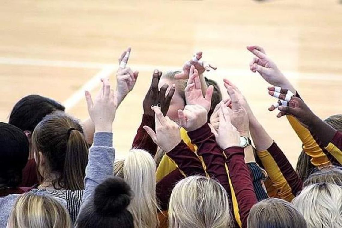 Lady Lions' volleyball season ends