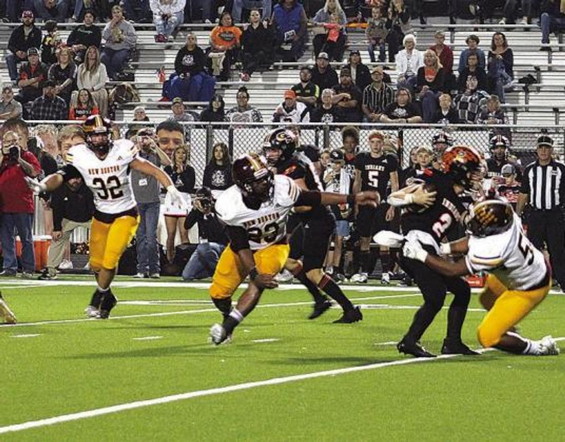 Lions athletics working towards a culture of winning