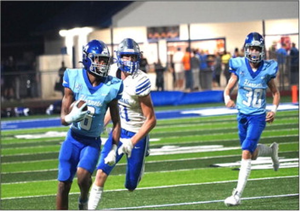 Lions, Bears and Hornets earn big wins