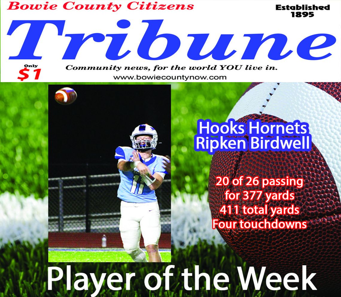 Lions earn district win, Bears fall to Tigers