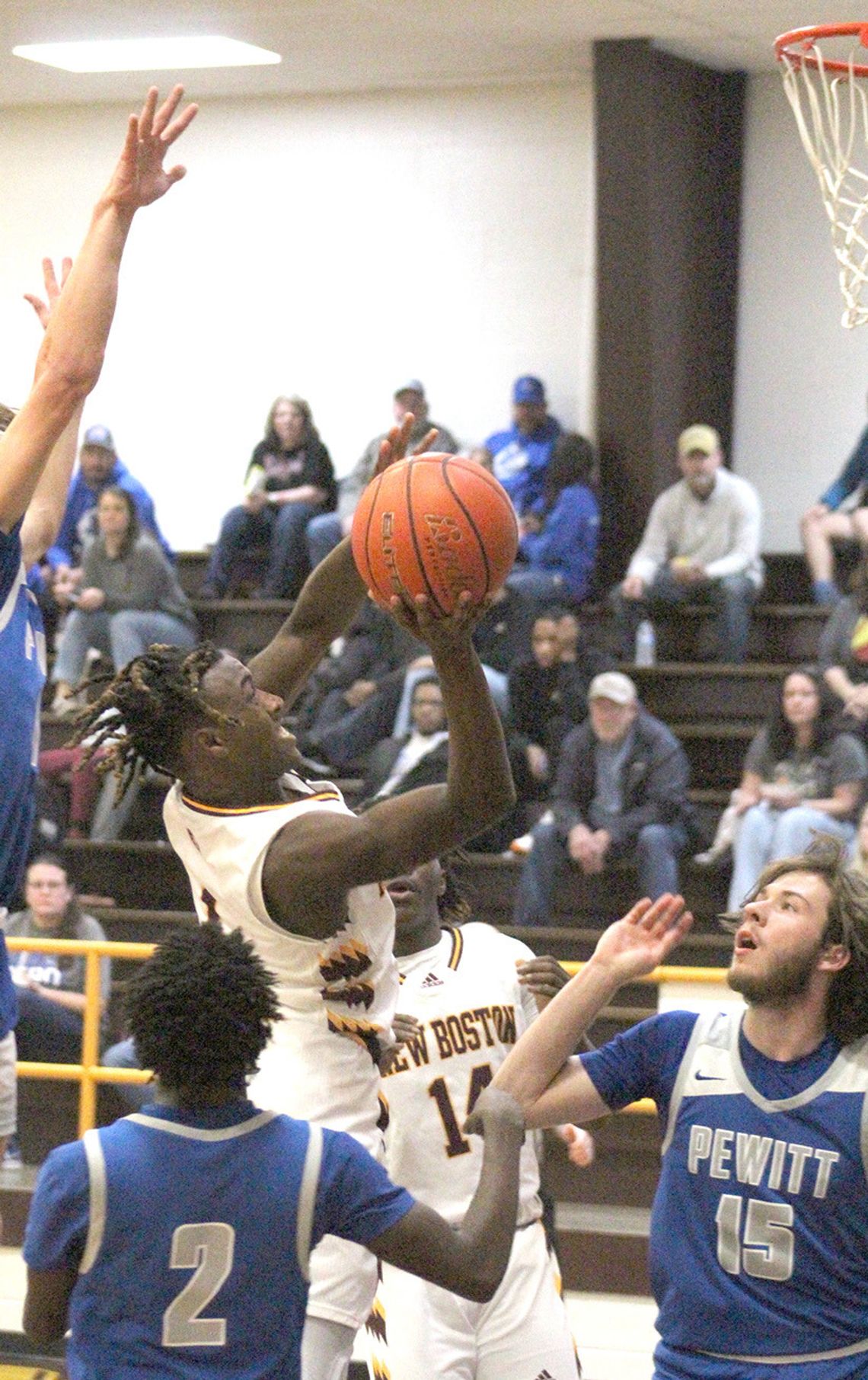 Lions, Lady Lions corral Brahmas