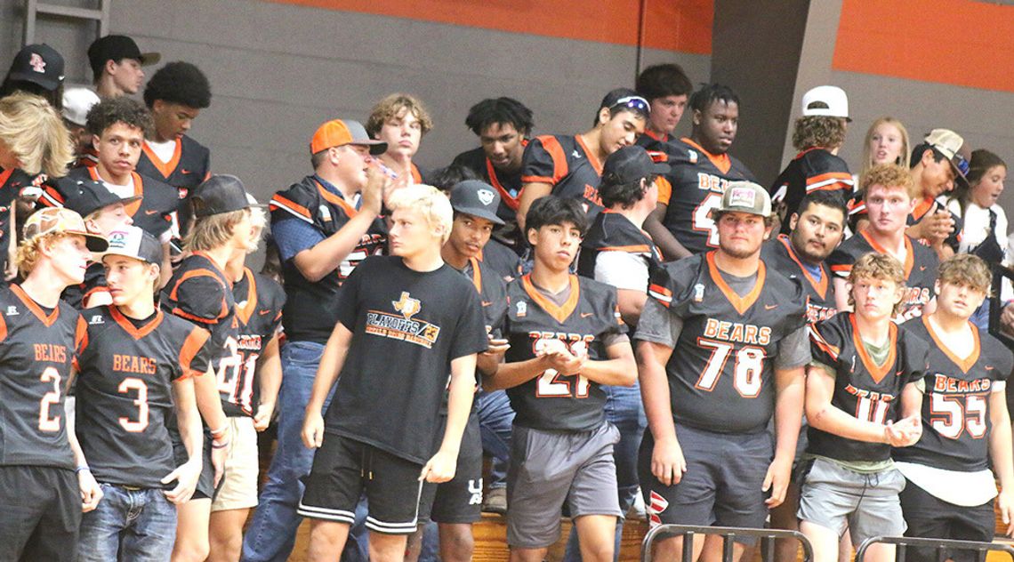 Meet the Bears