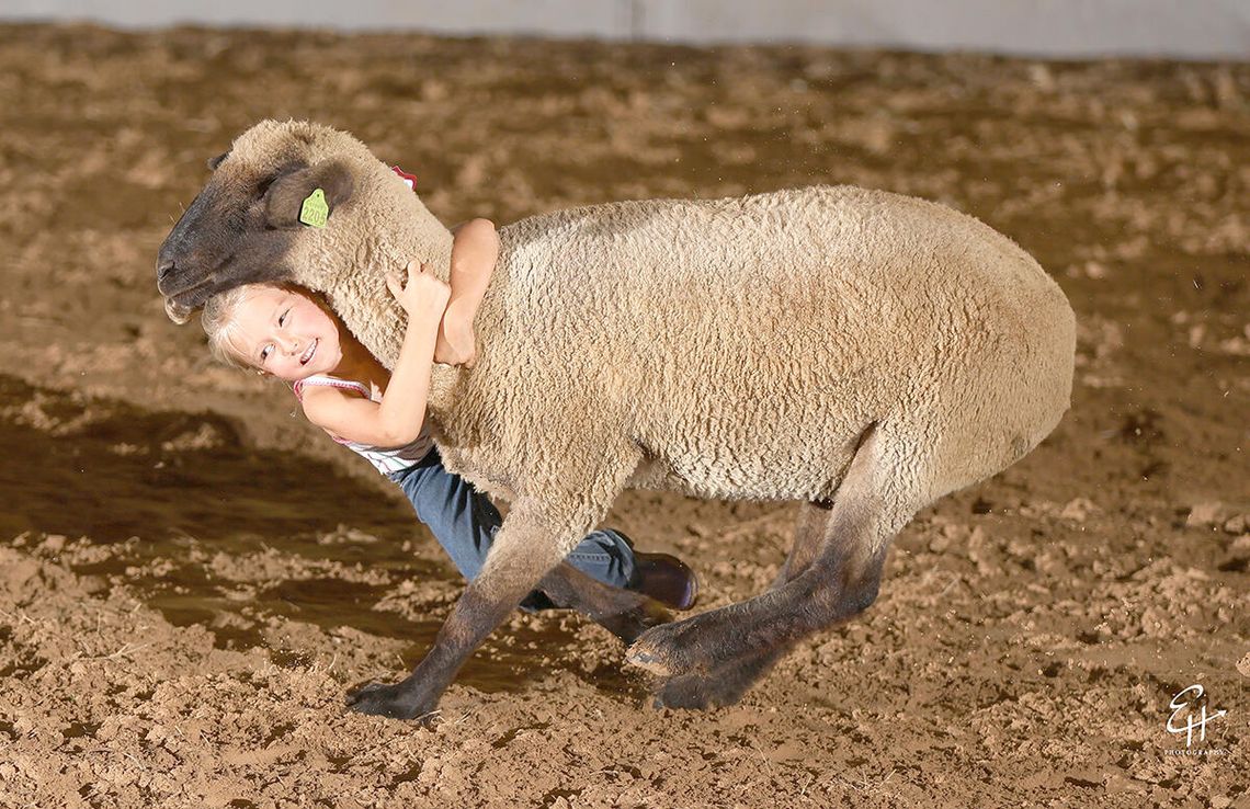 Mutton bustin’ fun for everyone saddles up for Pioneer Days Rodeo