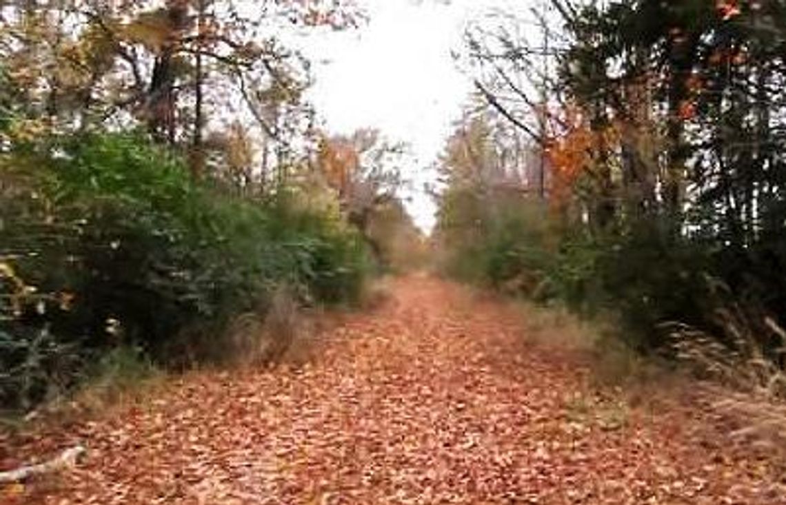 North East Texas Trail developers get a huge boost from TPWD North East Texas Trail developers get a huge boost from TPWD