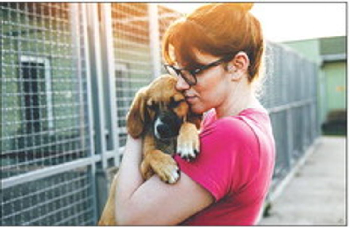 Plans in progress for updated Texas side animal holding facility Plans in progress for updated Texas side animal holding facility