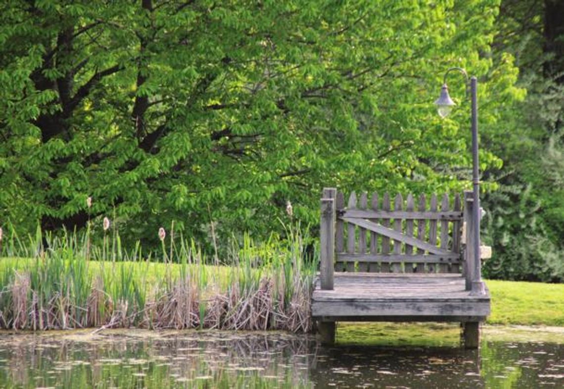 Pond maintenance crucial to water quality of East Texas watering holes