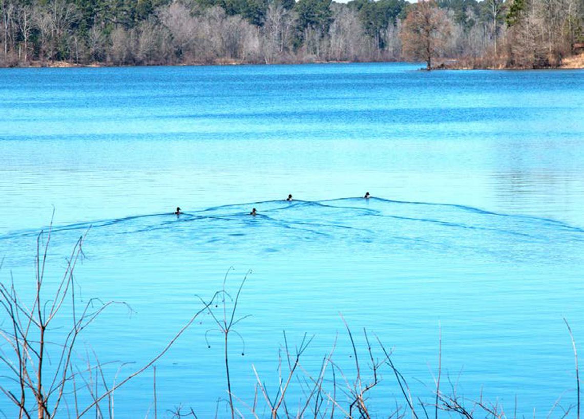 Potential sale of Lake O’the Pines water draws criticism