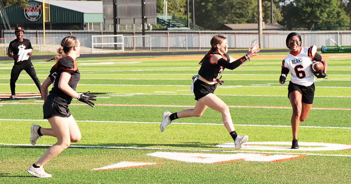 Powderpuff action in DeKalb