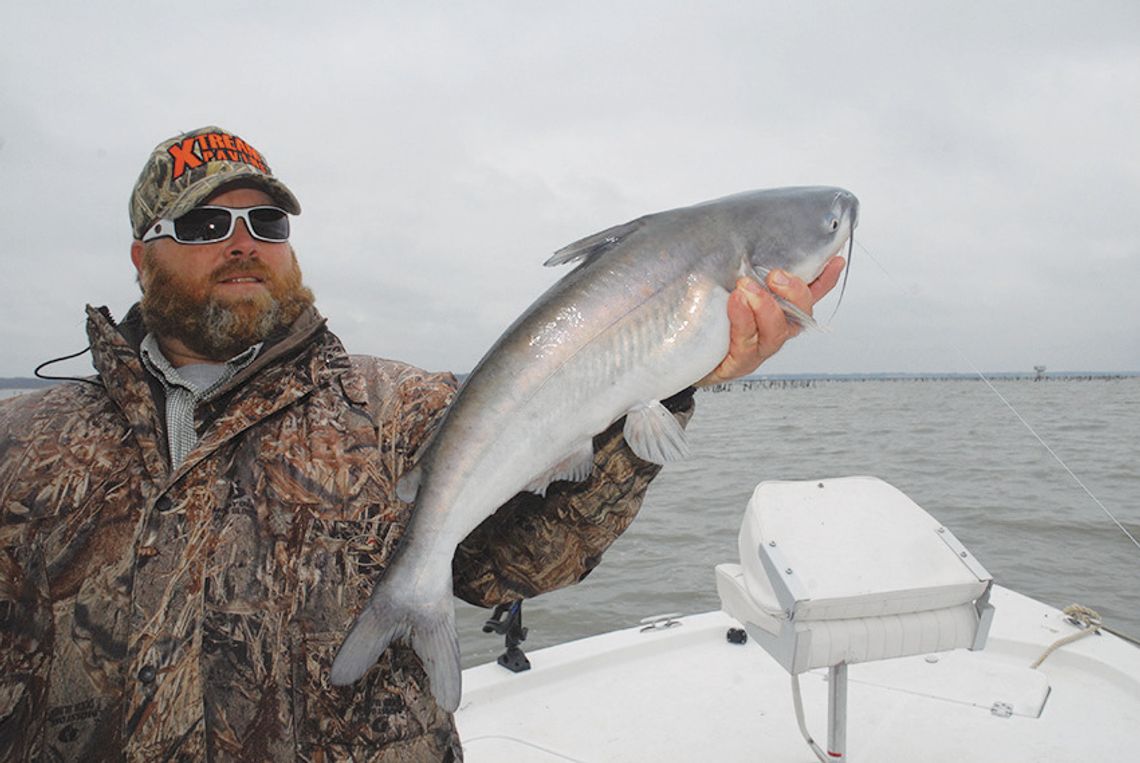 Reel Cats--A lesson plan for whiskered fish on Texas lakes and rivers Reel Cats--A lesson plan for whiskered fish on Texas lakes and rivers