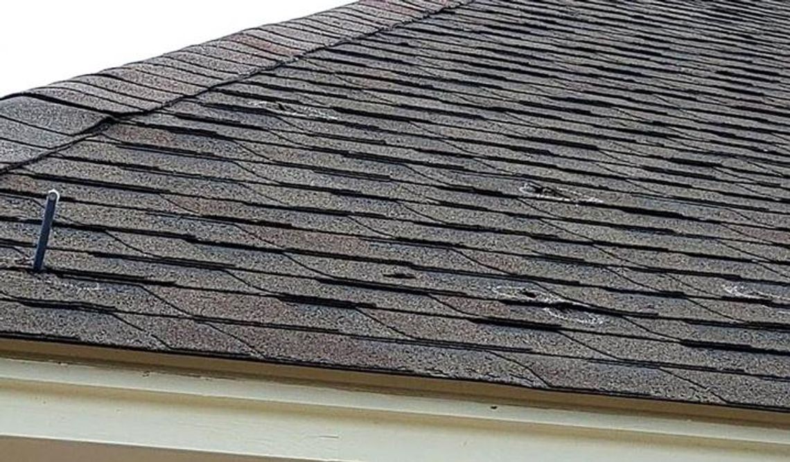 Shots fired at New Boston business overnight