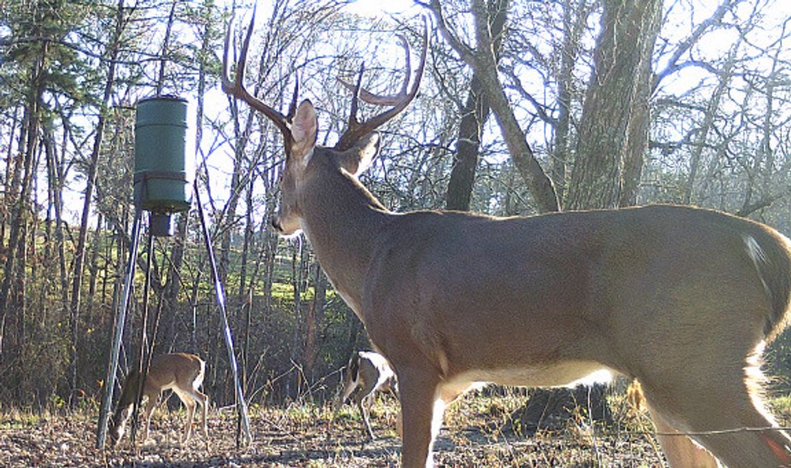 Signs of the Times-Early fall is a busy time deer hunters, archery and MLD seasons underway