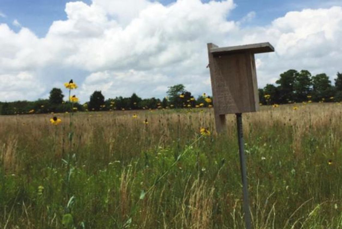 Texas Master Naturalists on a mission to share a love of nature and its resources
