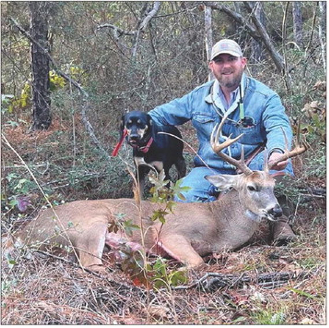 THE FALL DOGS-Handlers share advice on do’s and don’ts before bringing in a tracking dog