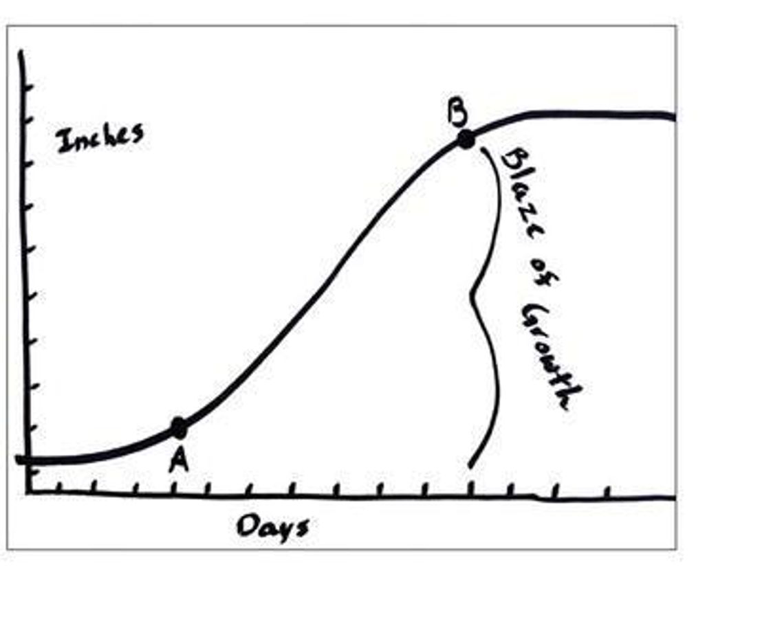 The ‘S’ curve growth of forages