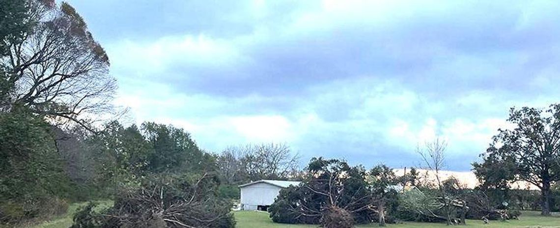 Tornado Rips Across Bowie County