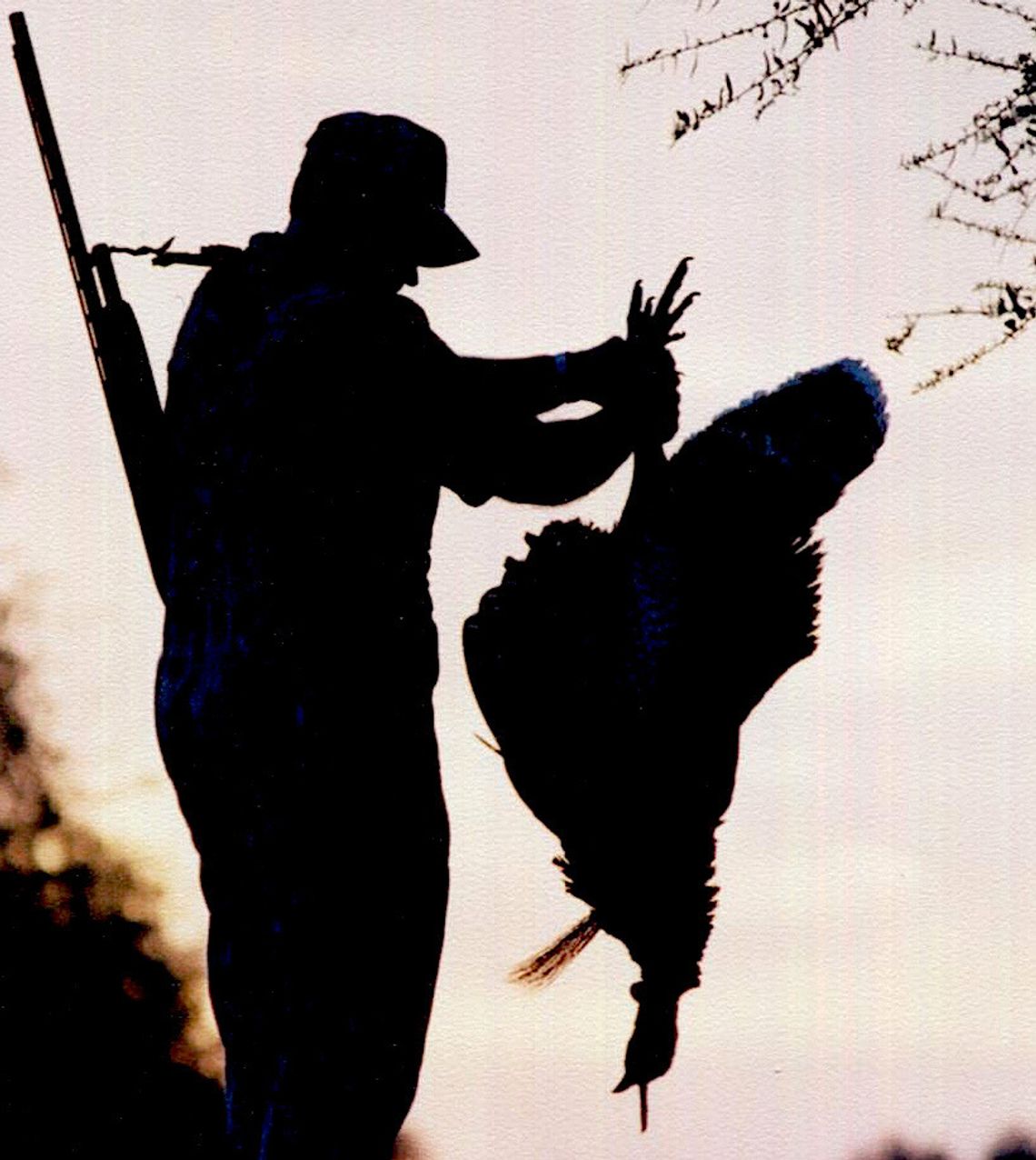 TPWD implements statewide mandatory reporting on wild turkeys, light goose conservation order nixed, more doe days for East Texas