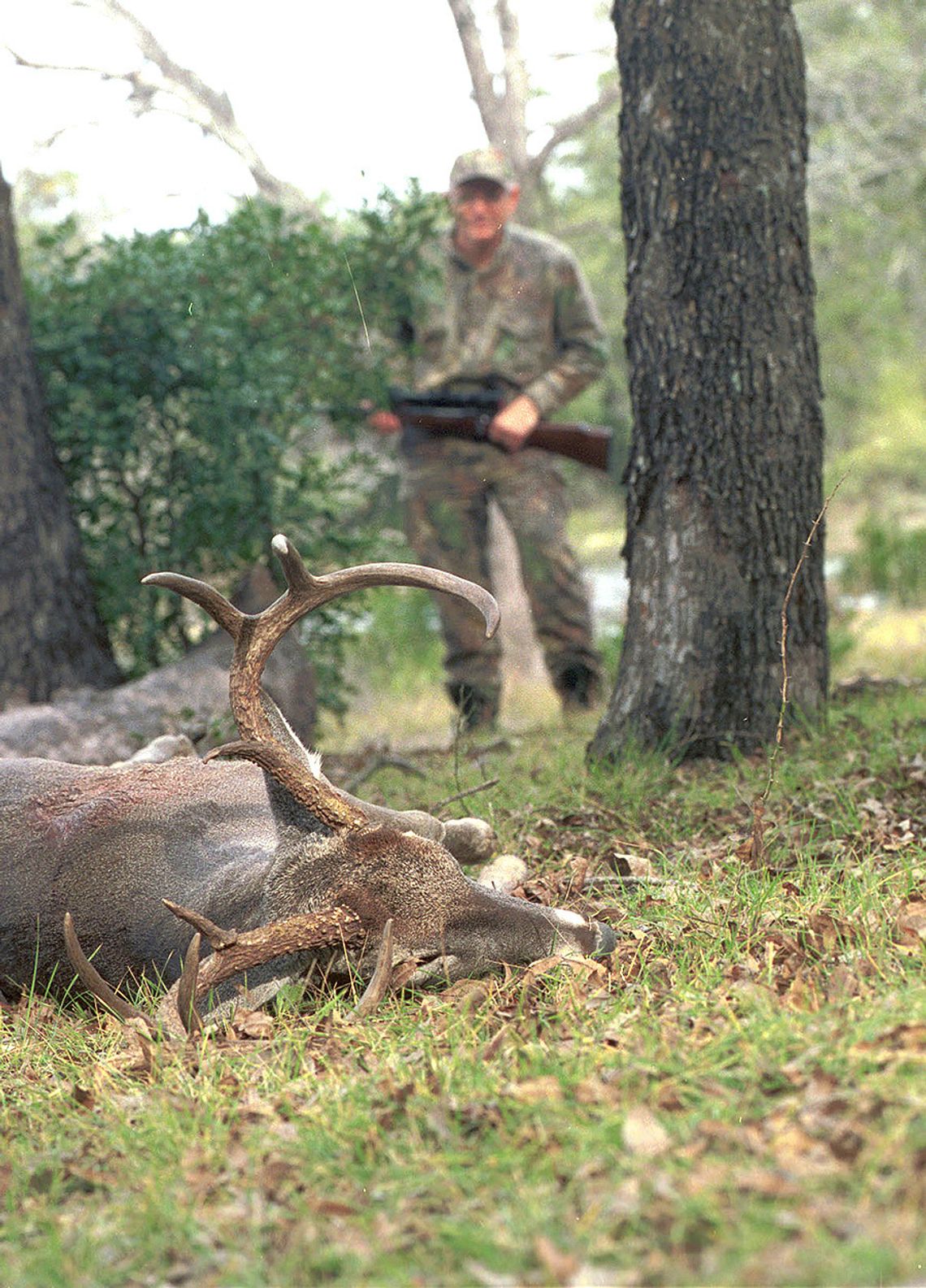 Tracking on Experience-Veteran hunter offers useful tips for recovering deer that don’t fall in their tracks
