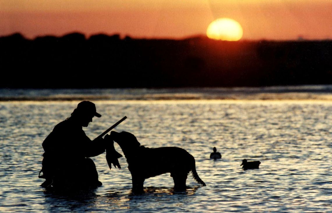 We Need Water: Not much to quack about as duck season kicks into full swing