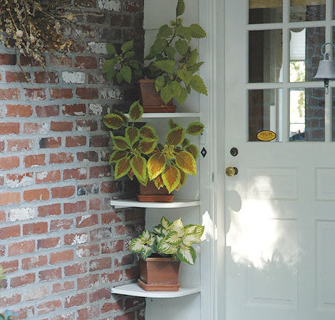 Weekend Updates for Your Landscape