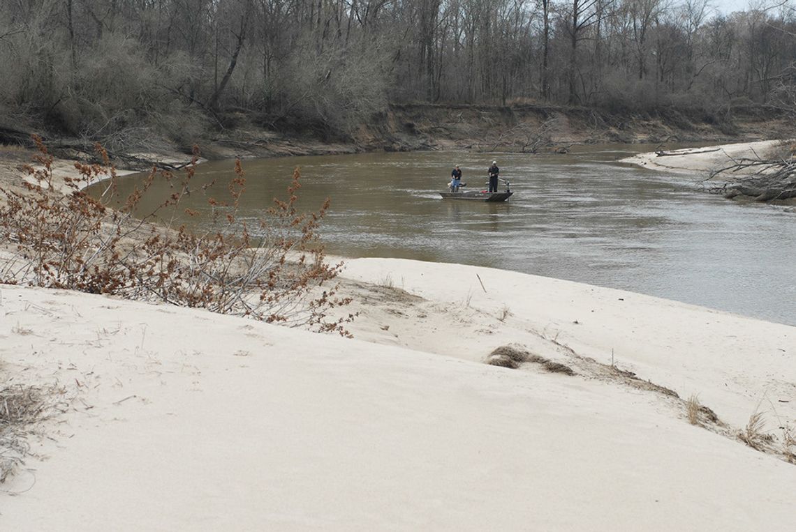 White Lightning--Annual spawning run packs fast action on rivers, creeks across the state