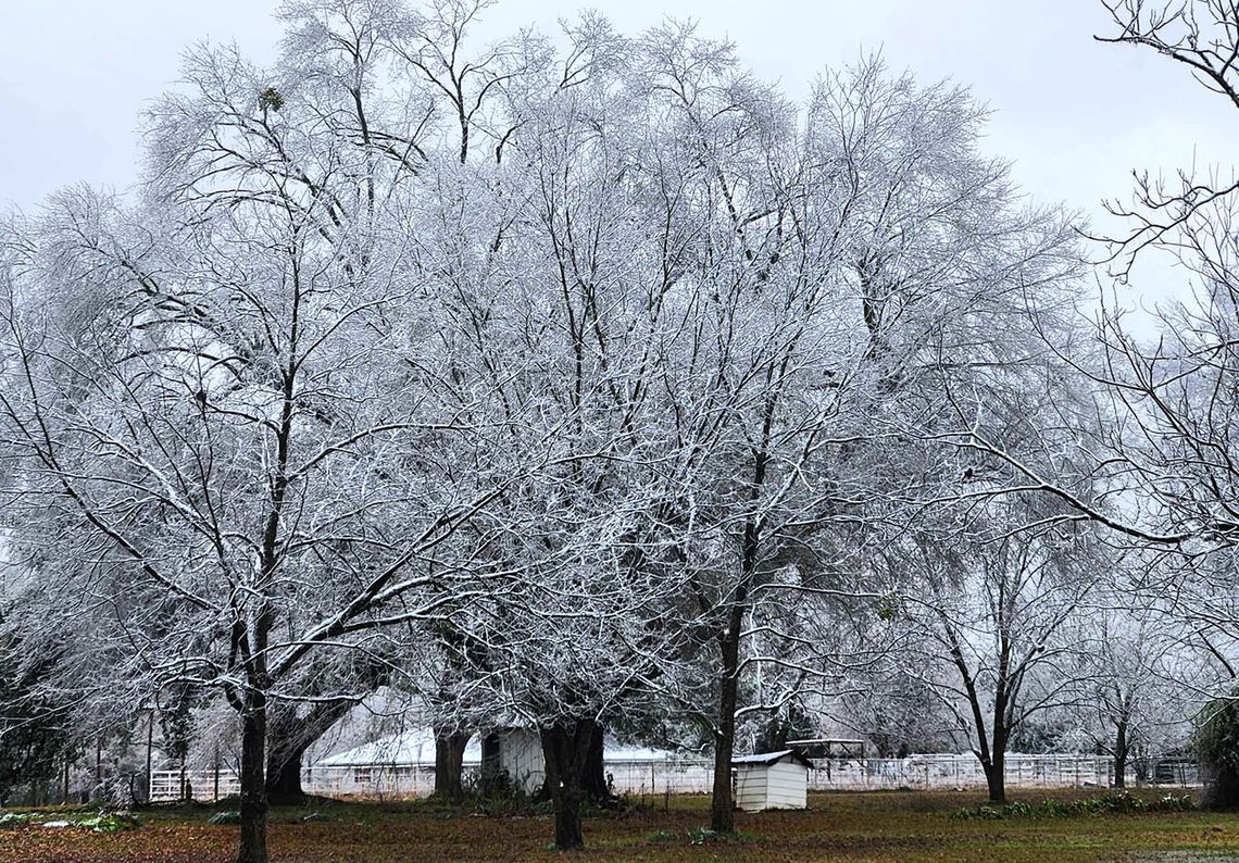 Winter weather wreaks havoc on Bowie County