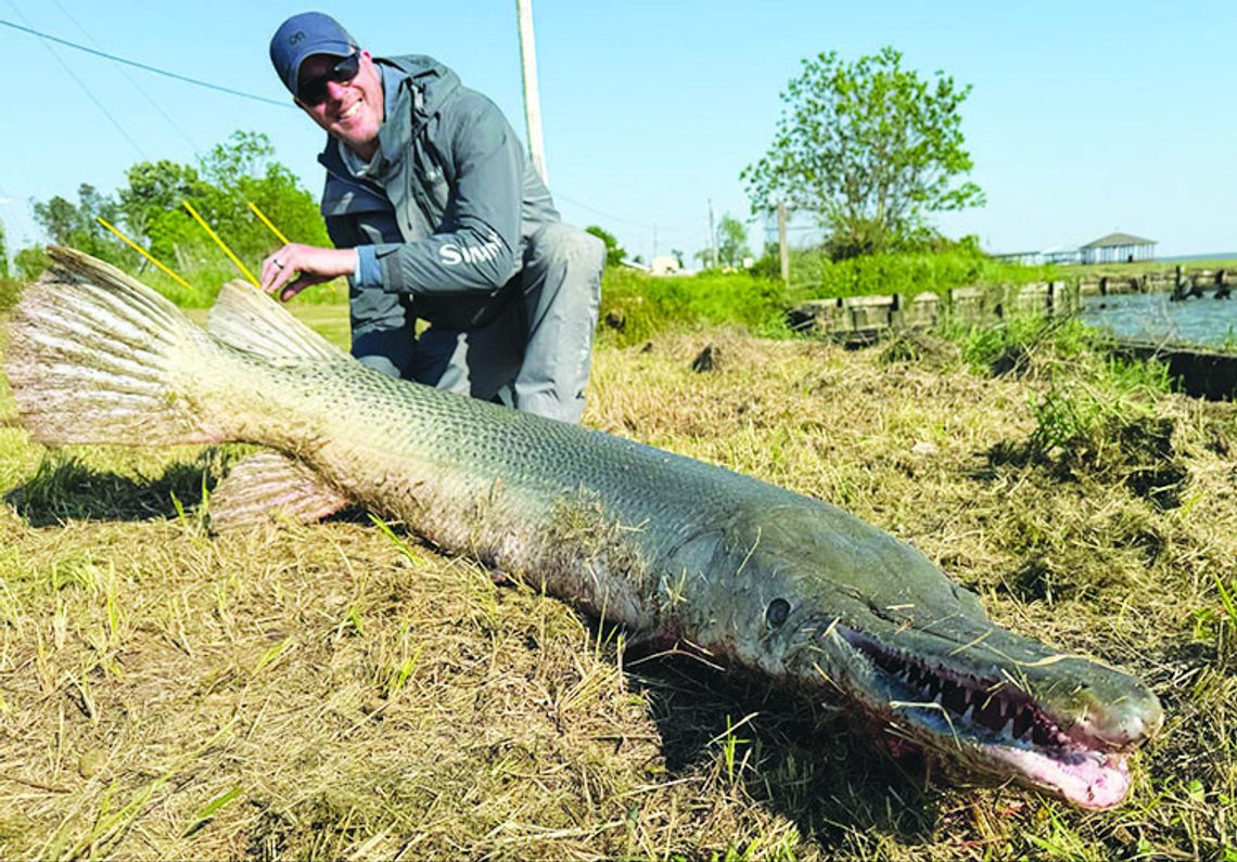 World’s Biggest Catch